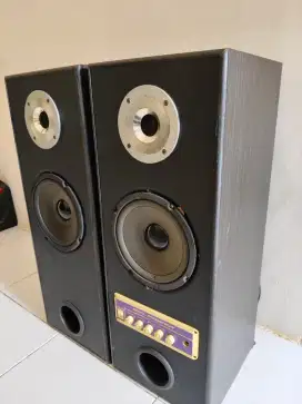 Speaker Aktif dual audio