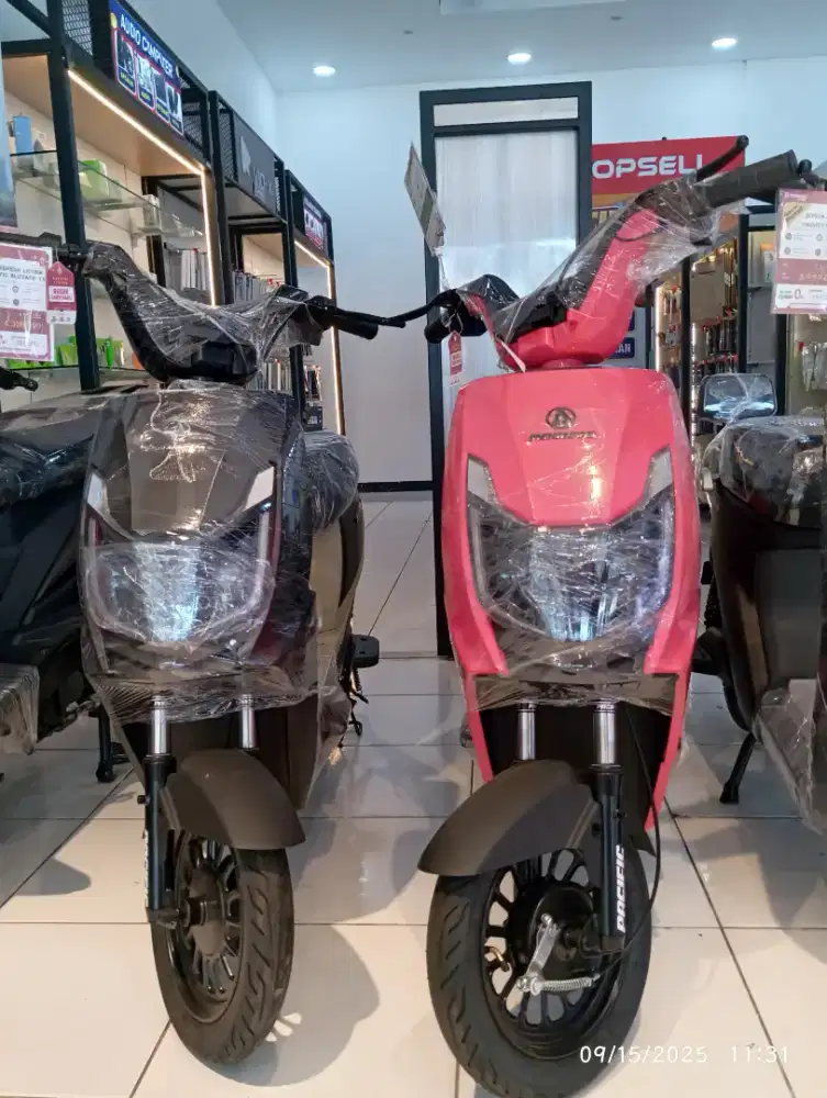Pasific Bluzzard 2.0 New