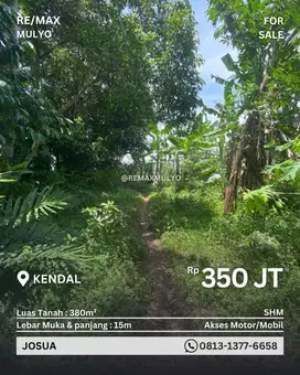 Dijual Tanah Pekarangan Area Kendal Seluas 380m2