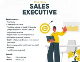 Sales properti executive