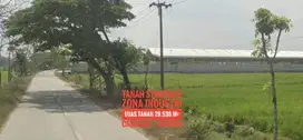 (L) Tanah LD 48 mtr, Kawasan Peruntukan Industri Caruban MADIUN Joss