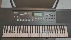Roland ex50 mulus