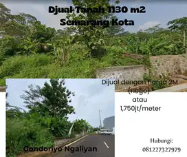 Tanah Djual 1130m2 SHM Semarang Kota Dekat Pemukiman Harga Bawah NJOP