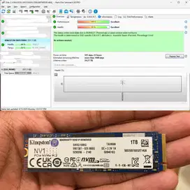 SSD M.2 NVMe 1TB Normal Istimewa