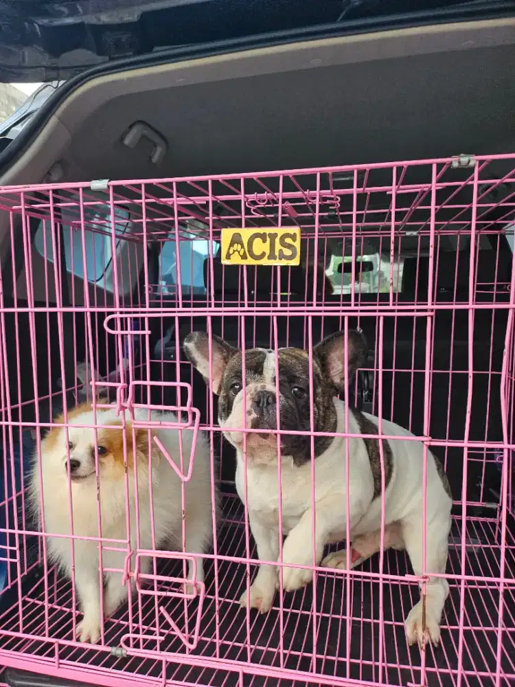 STAFF ADMIN PETSHOP