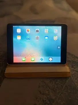 Ipad 1 wifi celuler no minus 100% normal
