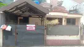 DISEWAKAN RUMAH MURAH 5 KAMAR 60 JT PER TAHUN NEGO