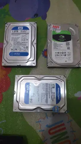 Hardisk 1TB WD Blue dan Seagate