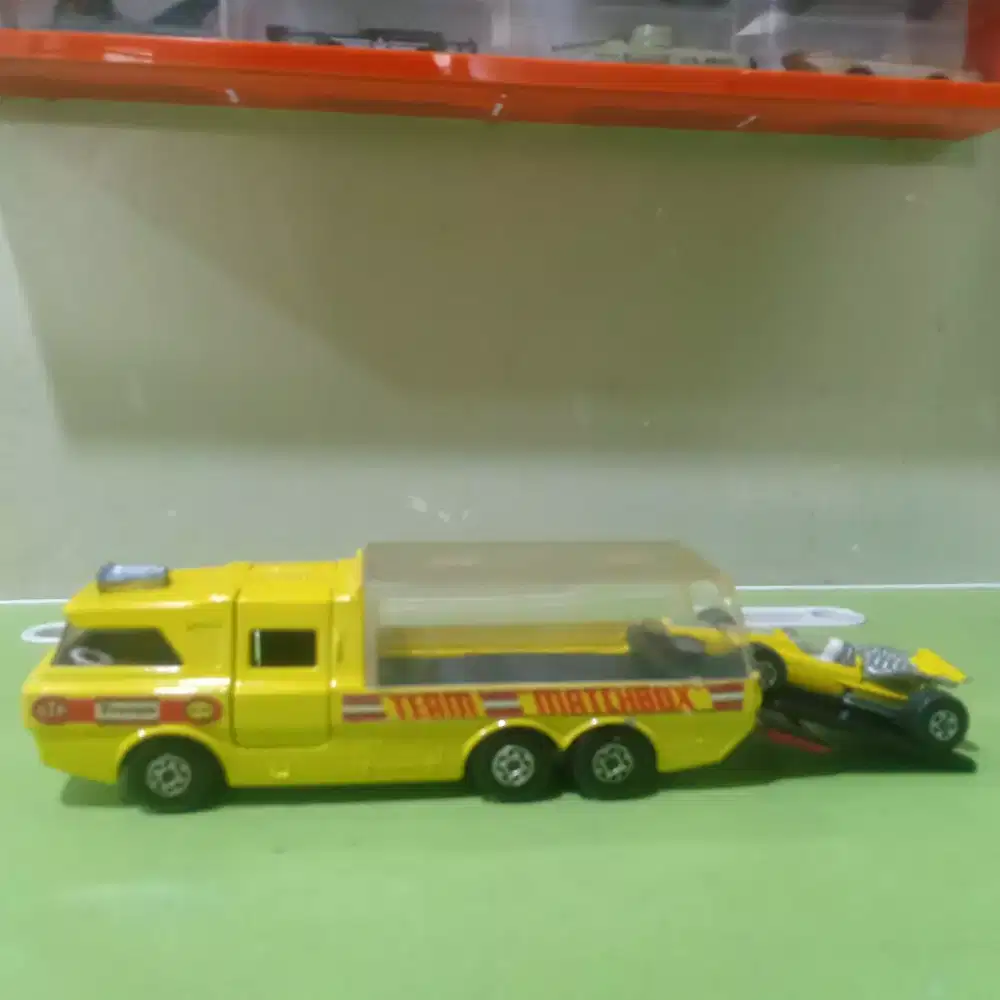 Lesney transporter rare