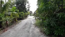 Tanah murah 1273m2,jl Hangtuah,masuk jl Sulawesi,kota Pekanbaru