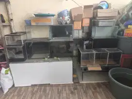 Jual Aquarium Tank Bekas Second
