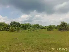 Tanah 1ha  dijual di Arjasa Situbondo