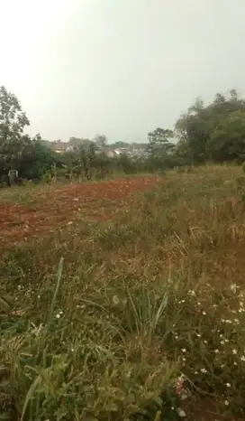 Dijual Tanah Murah di Cibinong