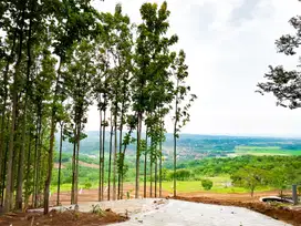 MILIKI KEBUN PRODUKTIF DI BOGOR TIMUR! Harga MULAI 39 JUTAAN