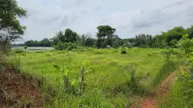 DIJUAL CEPAT LAHAN KAWASAN DESA KEMIRI TANGERANG