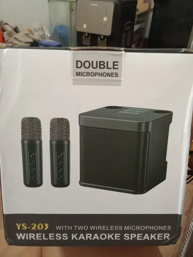 Wireless karaoke speaker