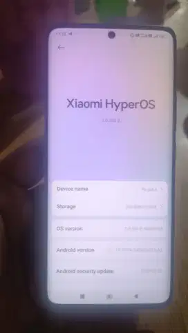 Xiaomi  redmi 13 pro+