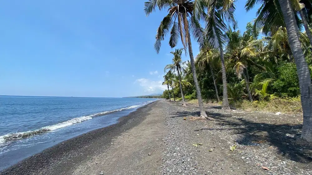 Dijual Tanah Datar Dekat Pantai Kubutambahan Buleleng