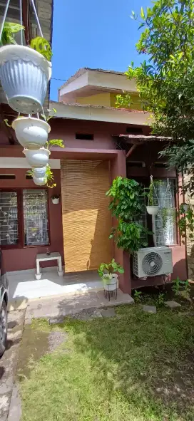 Rumah Komersiil 3 Kamar Taman Depan Belakang Luas