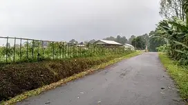 TANAH WANAYASA PURWAKARTA : Dijual Tanah Kebun Palawija Dekat Kuliner