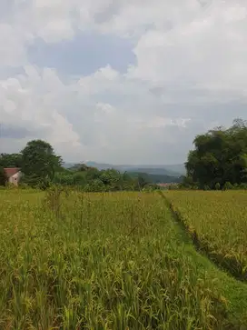 Dijual tanah kawasan purwakarta cocok untuk pergudangan