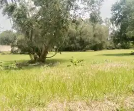 JARANG ADA TANAH KAVLING DI TAMAN TEKNO PUSPITEK TANGSEL