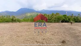 Dijual dan Disewakan Tanah 3 Are di Desa Obel-Obel , Lombok Timur