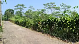 JUAL TANAH  KEBUN  SAMPING VILA
