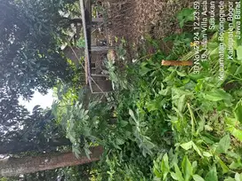 dijual murah tanah kebon dekat pemda cibinong