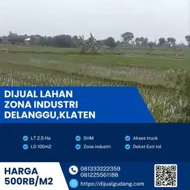 Dijual aset terbaik tanah industri lokasi delanggu 2.5Ha BU