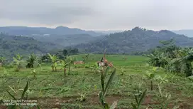 MENAKJUBKAN : AIR & PEMANDANGAN || SAWAH PRODUKTIF DI PURWAKARTA
