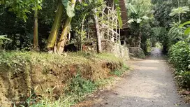KEBUN PEMANDANGAN GUNUNG  & DEKAT SAWAH DEKAT WARGA || SEJUK BANGET.