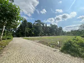Tanah Selangkah ke Kampus UII Jogja, Lingkungan Kos