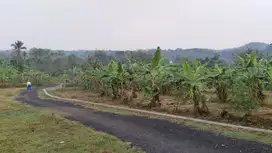 TANAH KEBUN Super Adem, Super Subur, Dekat Pemukiman
