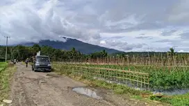 VIEW GUNUNG  | KEBUN MANGGIS DAN SAWAH DI KAWASAN VILA
