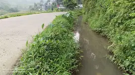 SAWAH PALING BAGUS 3X PANEN || AIR MENGALIR. BAGUS JUGA BUAT VILA