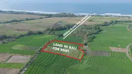 Leasehold Land for Sale in Kelating, Tabanan – 400m from the Ocean