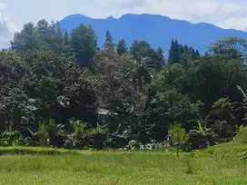 Tanah Luas 500 M2 Di Megamendung Bogor Dekat Exit Tol