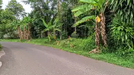 Jual Kebu Manggis || Pinggir Jalan Raya Kiarapedes Wanayasa Purwakarta