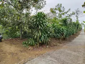 Dijual Tanah 1.700M² Di Wanayasa Purwakarta. Dekat Pasilitas Umum