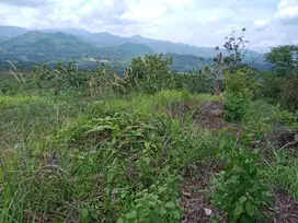 Dijual cepat tanah di desa Pabuaran Kec Sukamakmur Kabupaten Bogor