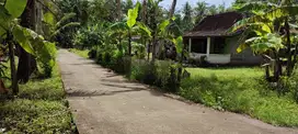 Tanah kavling murah di sentolo kulonprogo
