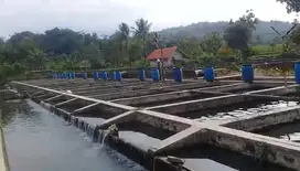 Jual Kolam Deras, Kolam Ikan, Sudah Produksi Perusahaan Prinadi