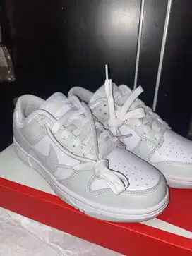 Nike dunk low retro