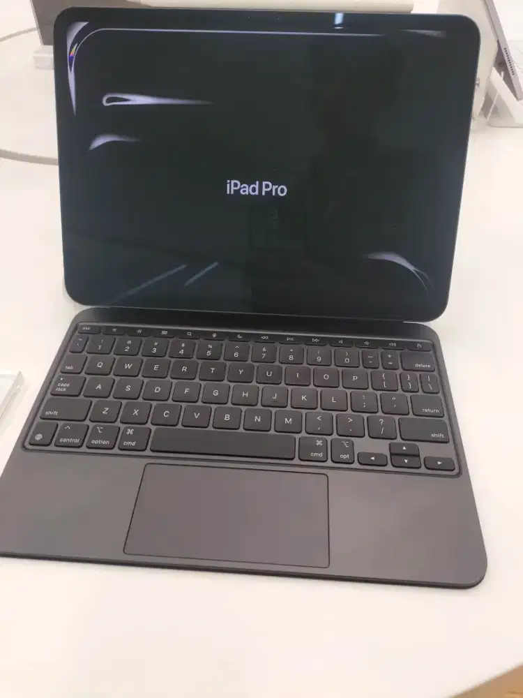 iPad pro M4 (11 inci)
