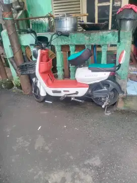 Sepeda listrik df 70 komplit