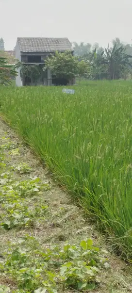 Jual tanah kapling
