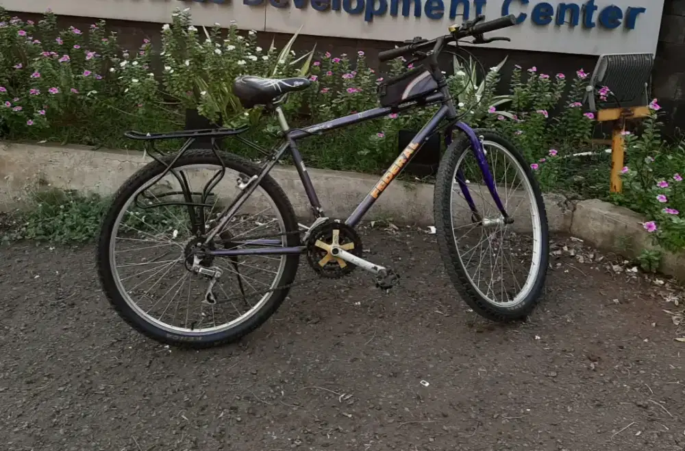 Sepeda Federal street cat
