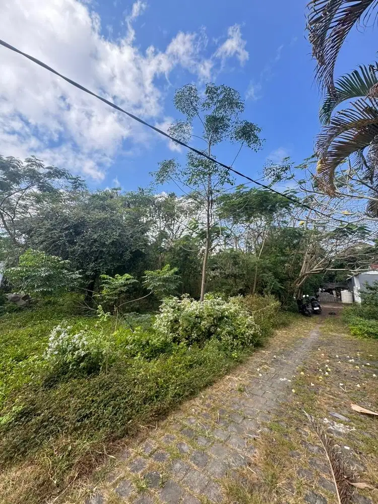 Dijual Tanah Murah 6 Are di Jalan Bendesa Ungasan