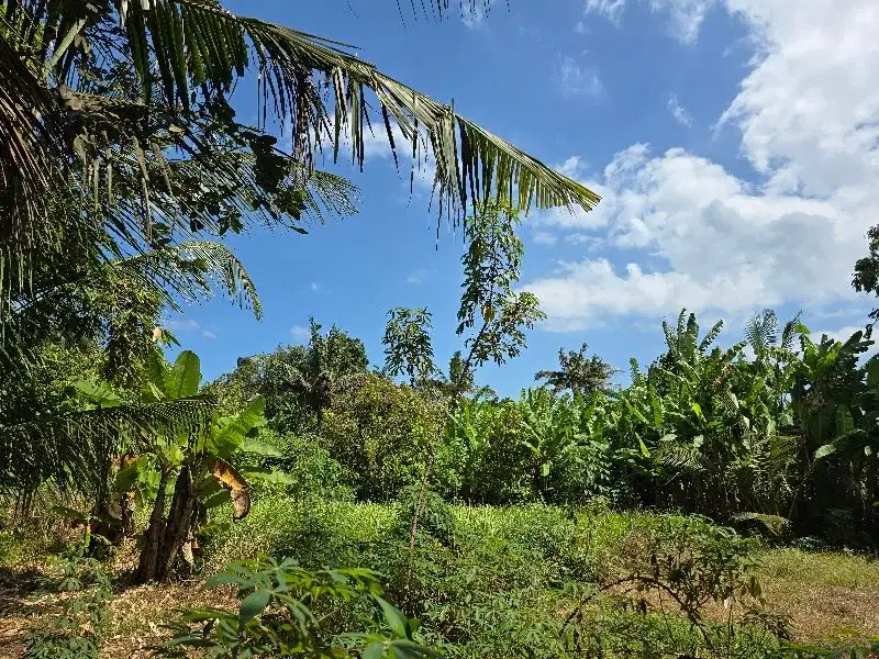 dijual tanah datar dekat pantai dan villa di bali